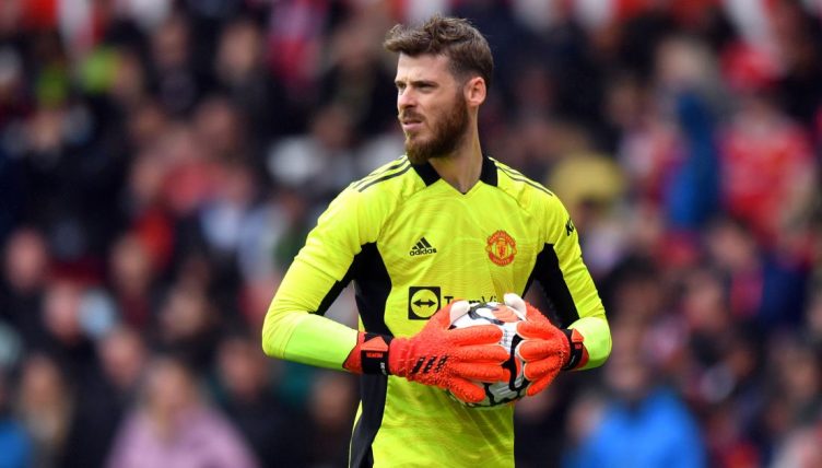 David de Gea Manchester United