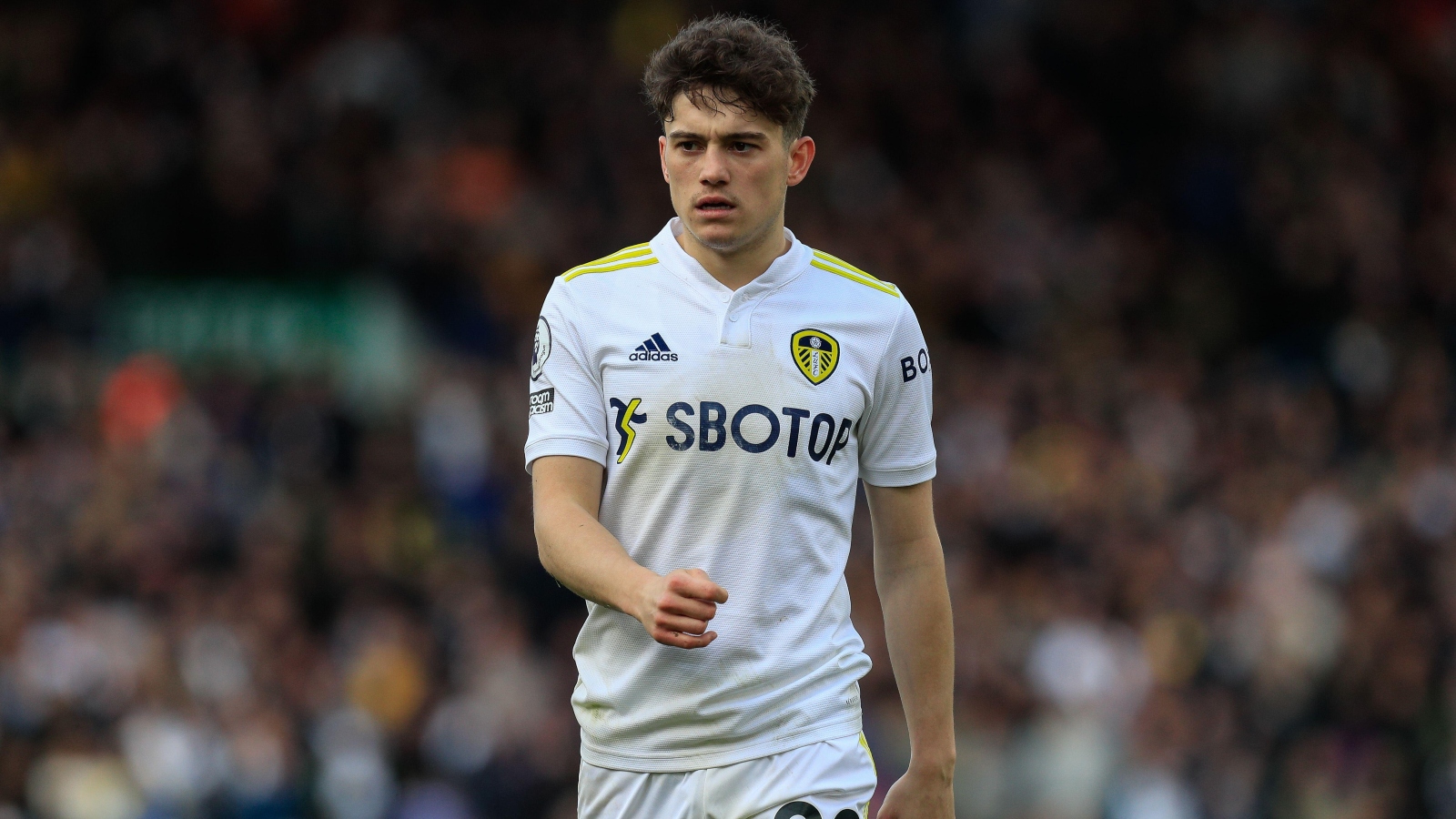 Comparing Dan James’ stats with Tottenham’s current forwards