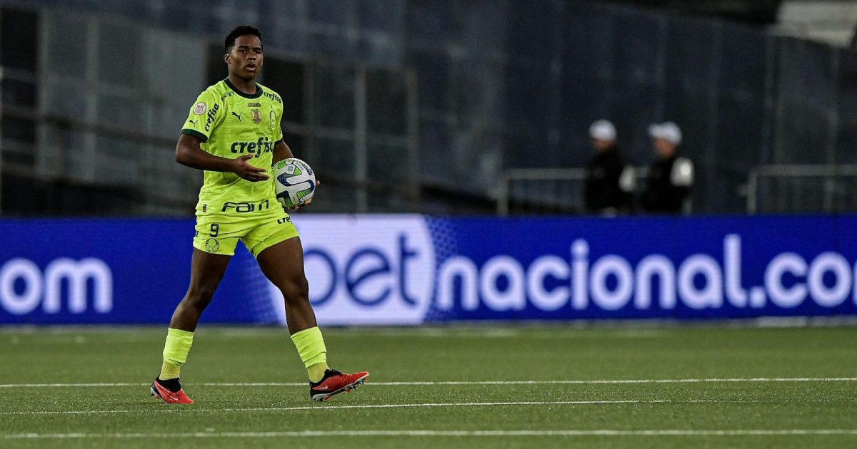 Endrick in action for Palmeiras against Botafogo.