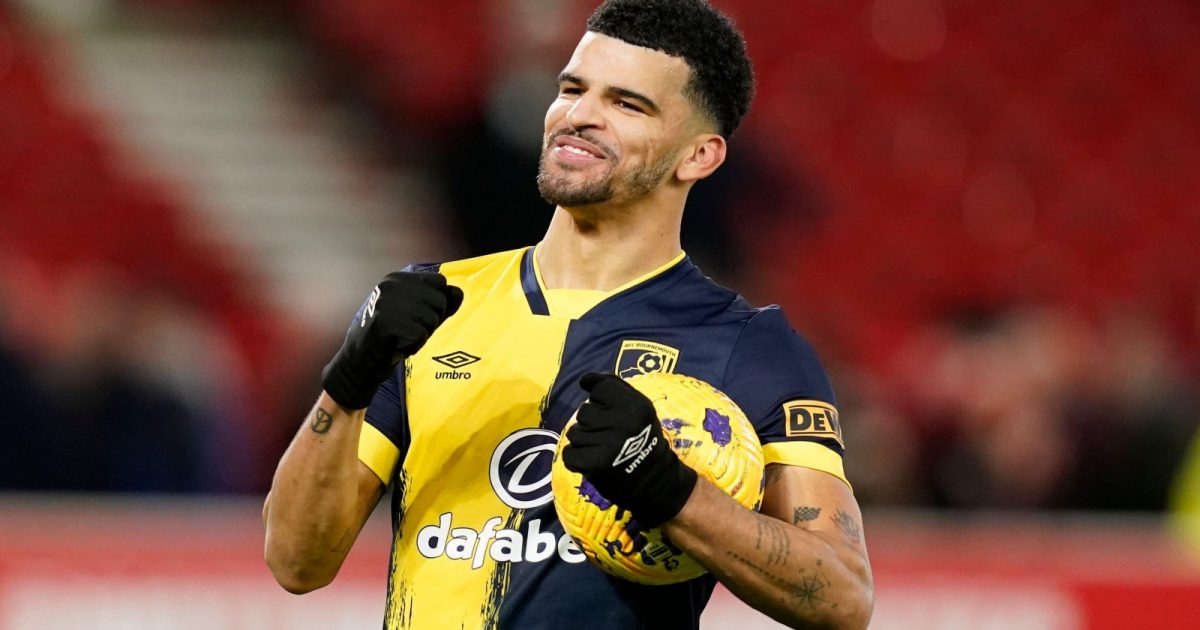 Dominic Solanke is currently one of the best strikers in the Premier League.