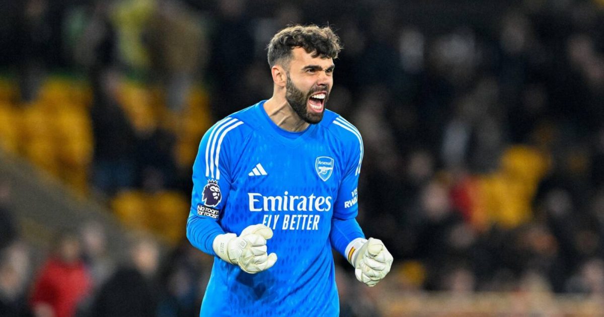 David Raya of Arsenal celebrates the full time result, during the Premier League match Wolverhampton Wanderers vs Arsenal at Molineux, Wolverhampton, United Kingdom, 20th April 2024