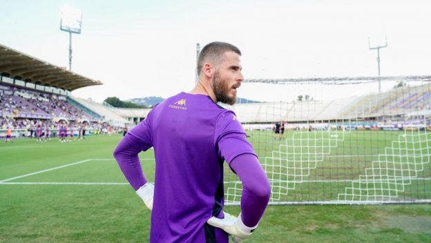 Florence, Italy. 01st Sep, 2024. David De Gea of ACF Fiorentina looks on during the Serie A Enilive match between ACF Fiorentina and AC Monza at Stadio Artemio Franchi on September 01, 2024 in Florence, Italy