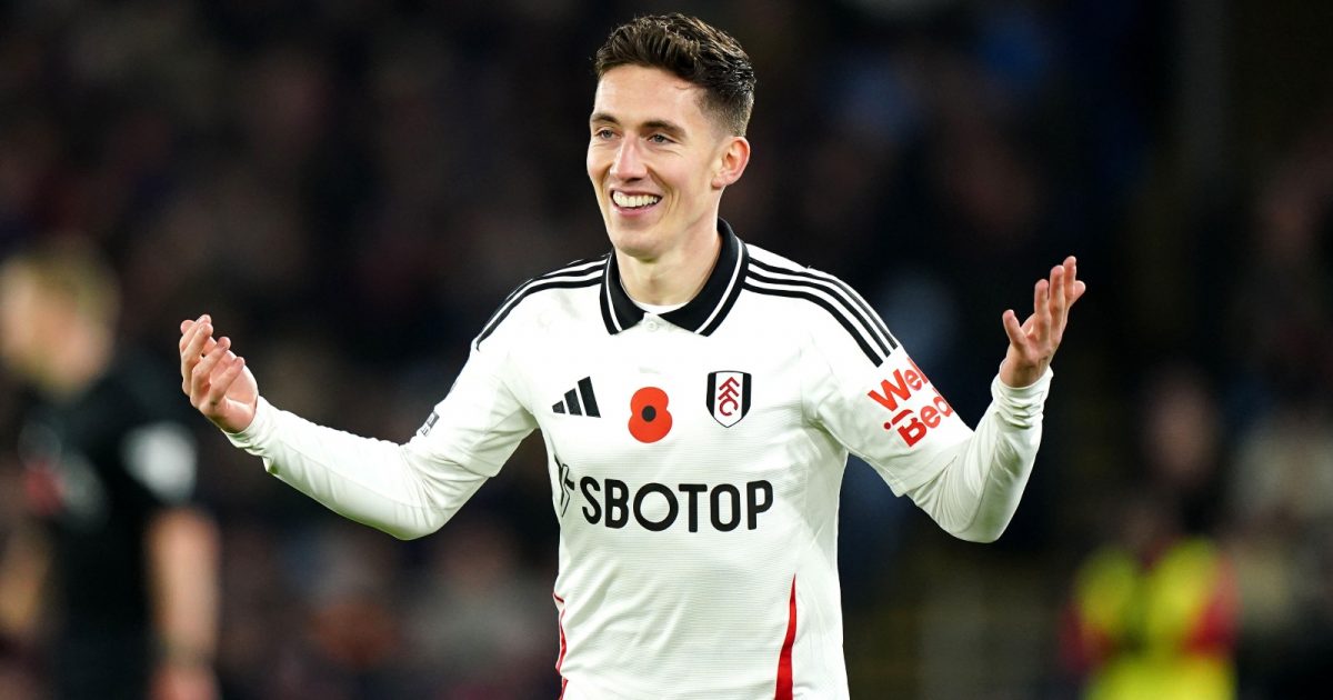Harry Wilson has blossomed into a fine Premier League player.