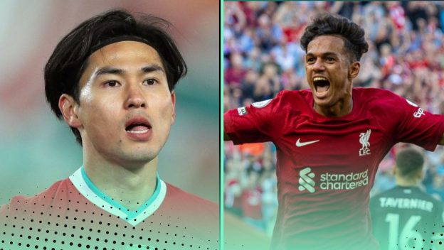 Liverpool have been canny in the transfer market.