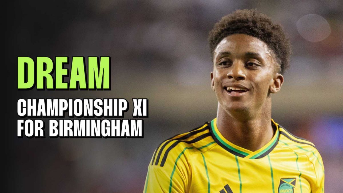 Birmingham's dream Championship XI includes Demarai Gray