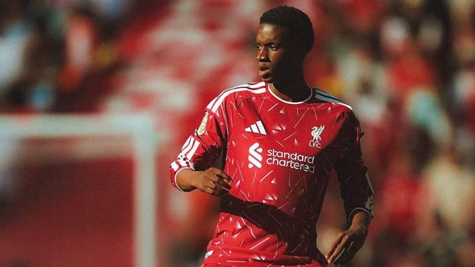 O Liverpool pode ter encontrado exatamente o que precisava no meio-campo.